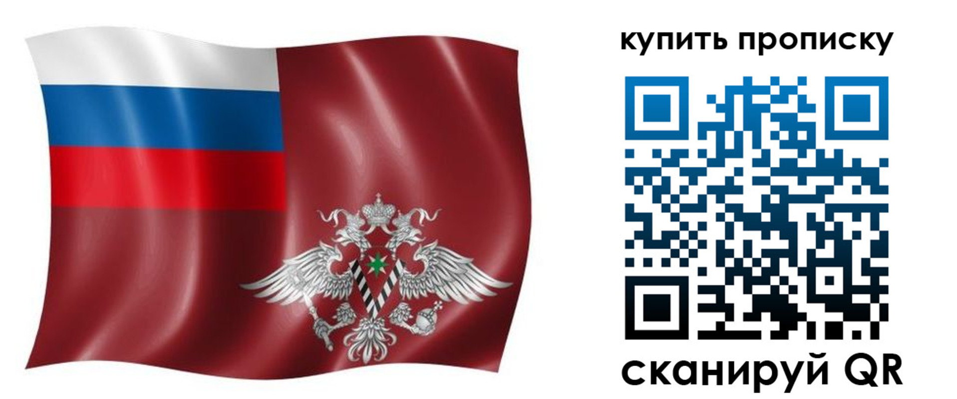 прописка поиск в Александровске